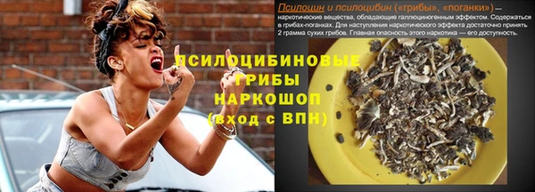 мдпв Лабытнанги